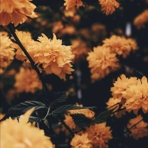 Meet your Posher, Macy